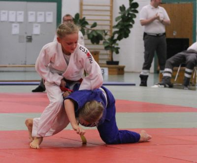 tl_files/judoka_stade/2016/Bilder/2017 08 Bente Bodenuebergang.jpg